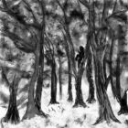 15.El demonio del bosque