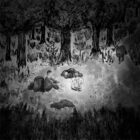 29.Entre lobos